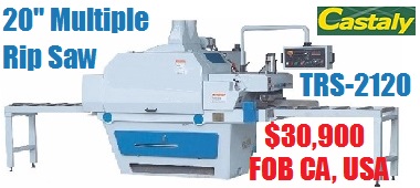 TRS 2120 Multiple Rip Saw